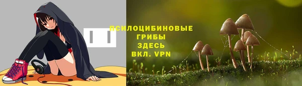мескалин Алексин