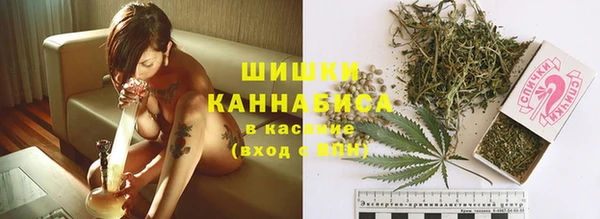 дмт Аркадак
