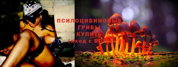 мяу мяу мука Алексеевка