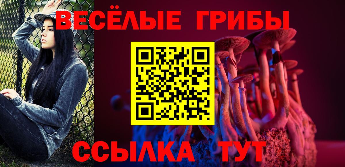 Галлюциногенные грибы мицелий  Псилоцибиновые грибы Cubensis  Вход с VPN  Елизово 